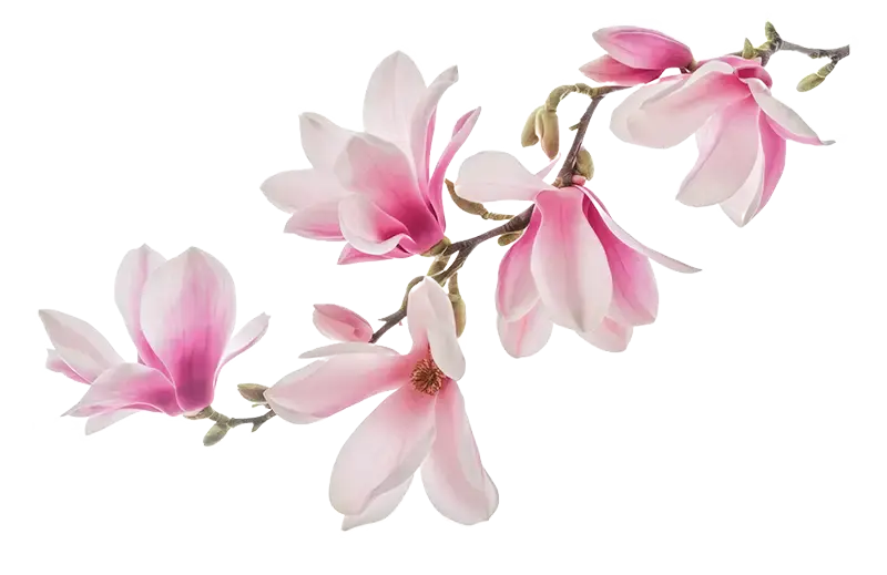 Bloemen rouwboket rouwstuk